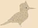 Little Bird Pattern
