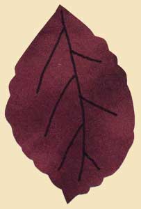Leaf Pattern