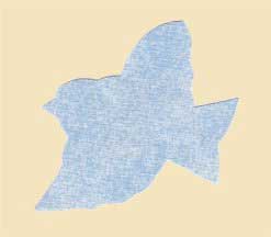 Bird pattern