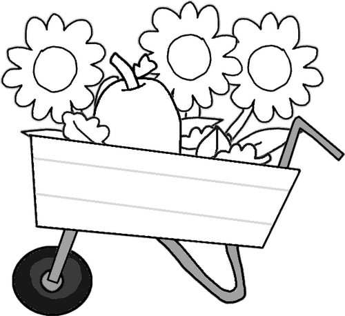 Wheelbarrow with Sunflowers