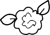 Flower Clipart