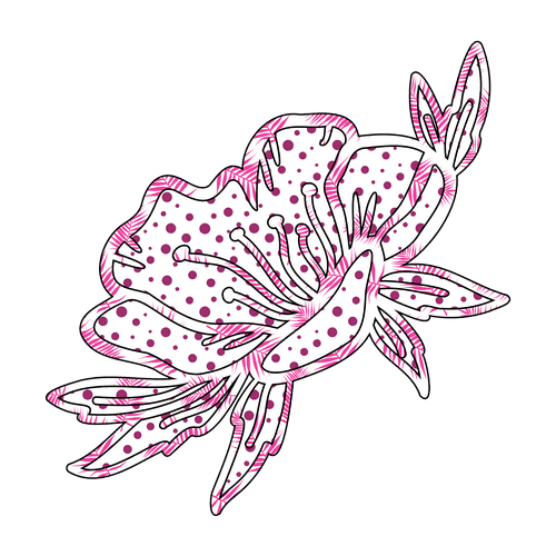 Flower Outlines