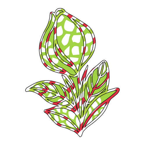 Flower Outlines