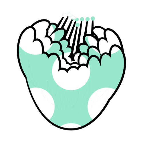 Flower Outlines