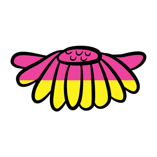Flower Outlines