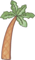 Palm tree